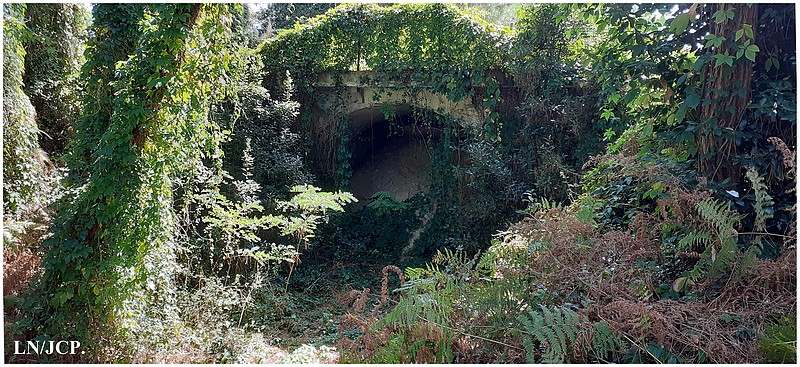 tunnel14.jpg