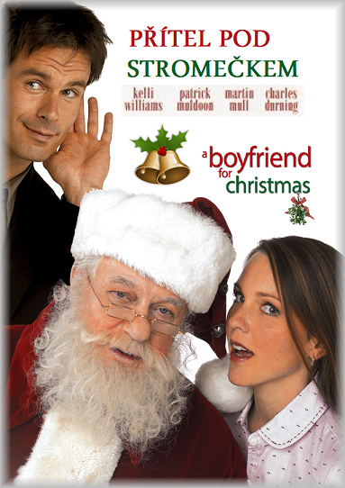 Přítel pod stromečkem / A Boyfriend for Christmas (2004)